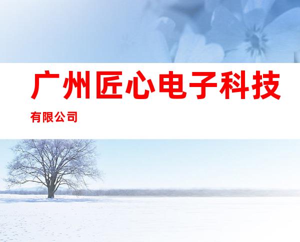 广州匠心电子科技有限公司